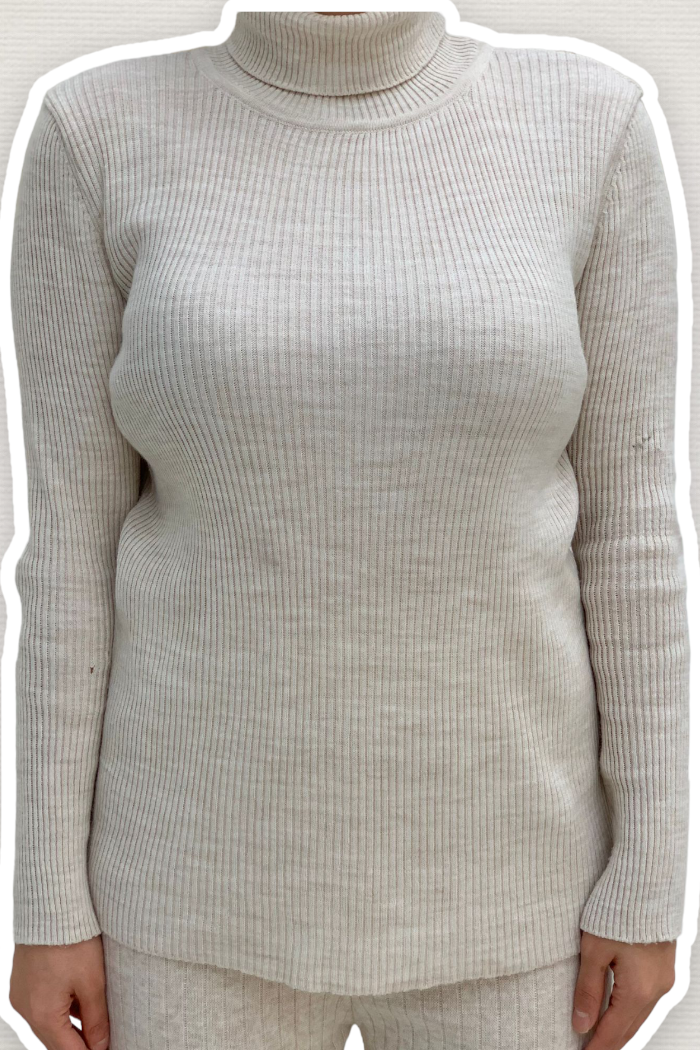 Turtleneck Plain Model Knitwear Sweater 4138